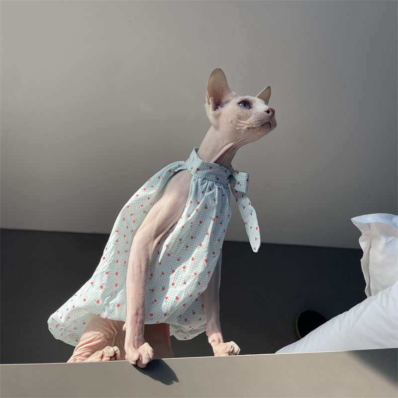 Ropa de Verano para Gatos: Ves - Summer Light Clothing reseña y precio