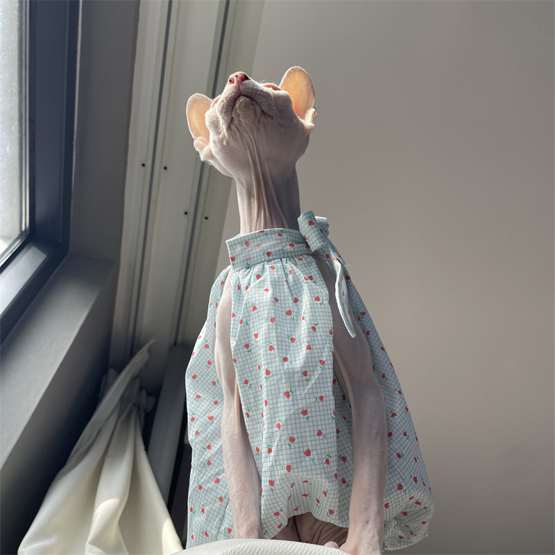Ropa de Verano para Gatos: Ves - Summer Light Clothing reseña y precio